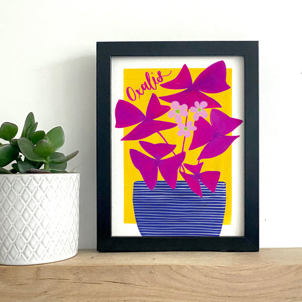 Colourful botanical housplant print - Oxalis