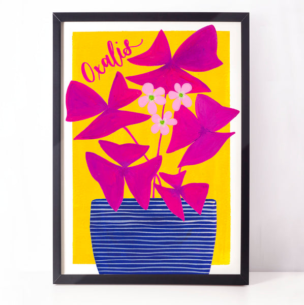 Colourful botanical housplant print - Oxalis