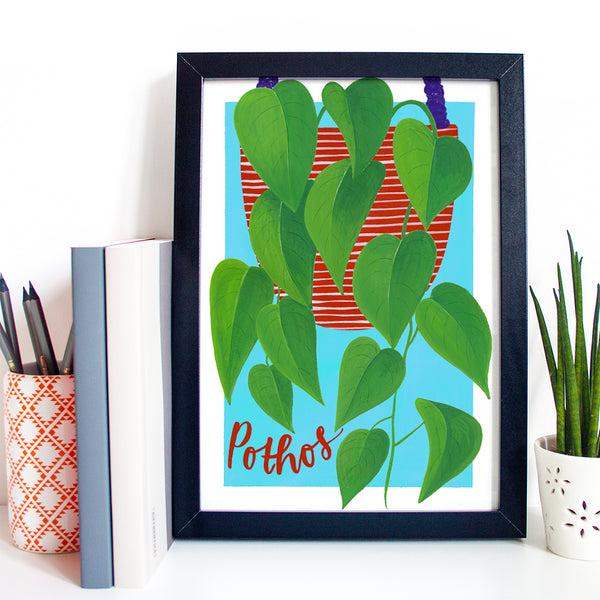Colourful botanical housplant print - Pothos