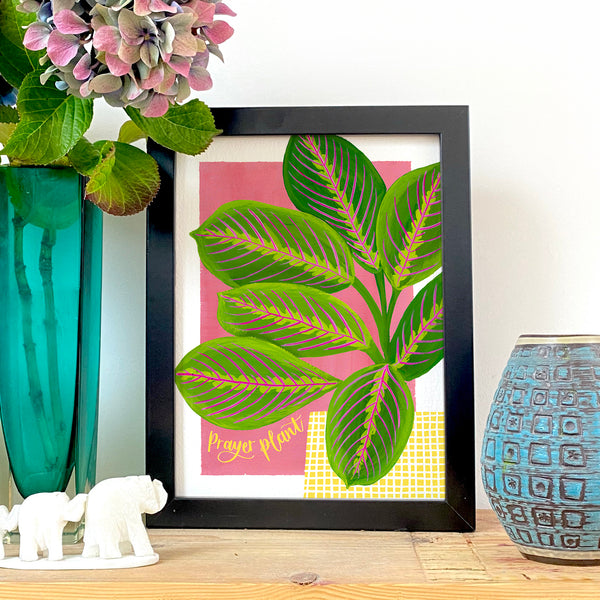 Colourful botanical housplant print - Prayer plant