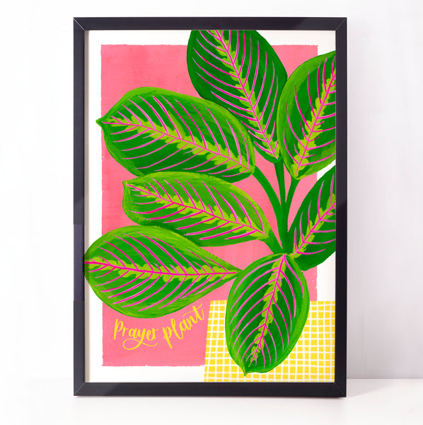 Colourful botanical housplant print - Prayer plant