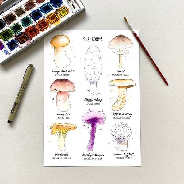 Mushrooms print - eight illustrated mushrooms