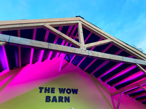 The WOW Barn: raising a barn, building a future.
