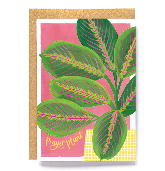 Botanical card - Prayer Plant
