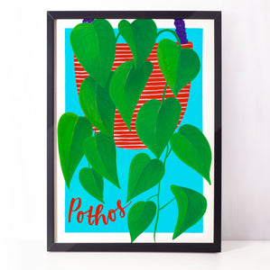 Colourful botanical housplant print - Pothos