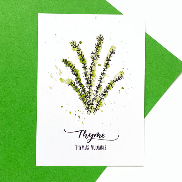 POSTCARD PACK SECOND: six herb postcards on recycled card