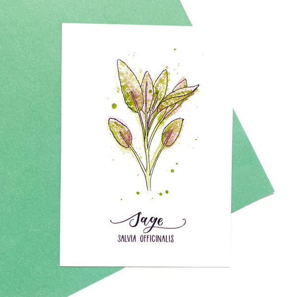 POSTCARD PACK SECOND: six herb postcards on recycled card