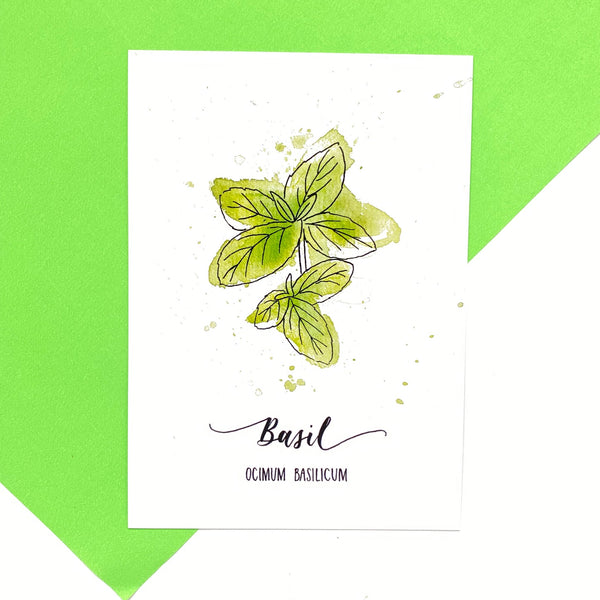 POSTCARD PACK SECOND: six herb postcards on recycled card