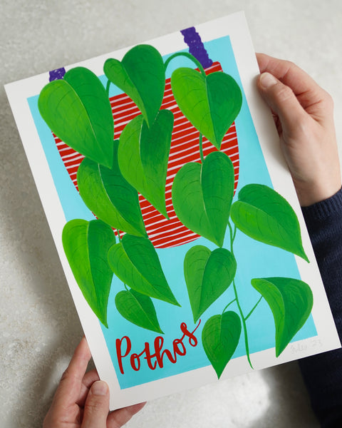 Colourful botanical houseplant print - Pothos