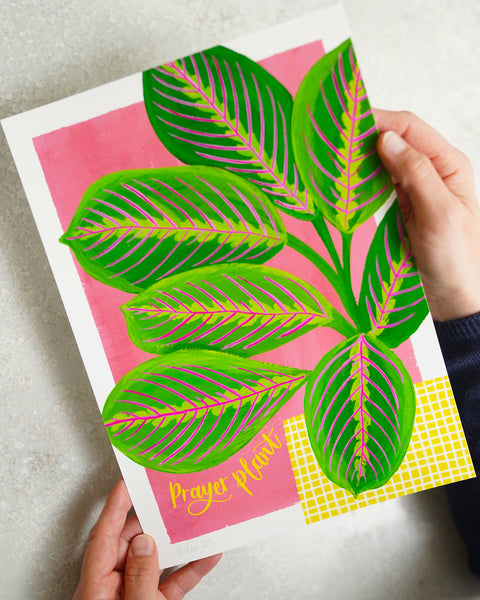 Colourful botanical houseplant print - Prayer plant