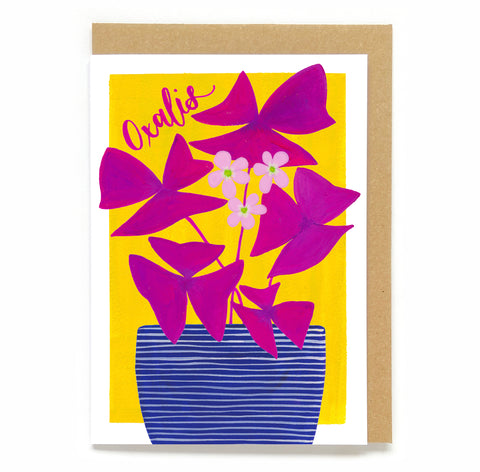 Botanical card - Oxalis