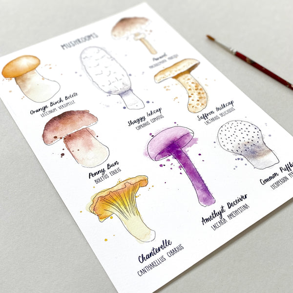 Mushrooms print - eight illustrated mushrooms