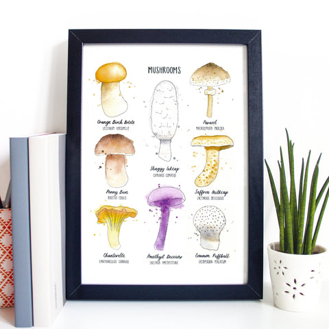 Mushrooms print - eight illustrated mushrooms