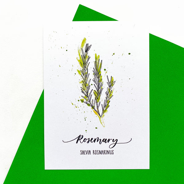 Pack of six herb postcards on recycled card